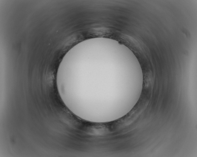 X0000113350279200910061025