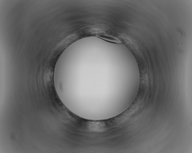 X0000113350281200910061025