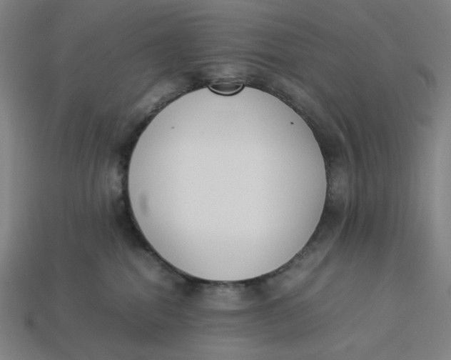 X0000113350282200910061025