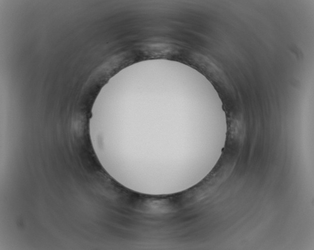 X0000113350283200910061025