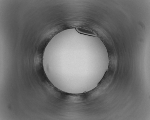 X0000113350284200910061025