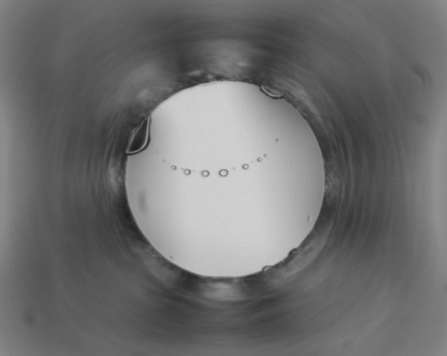 X0000113350285200910061025