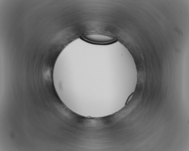 X0000113350286200910061025