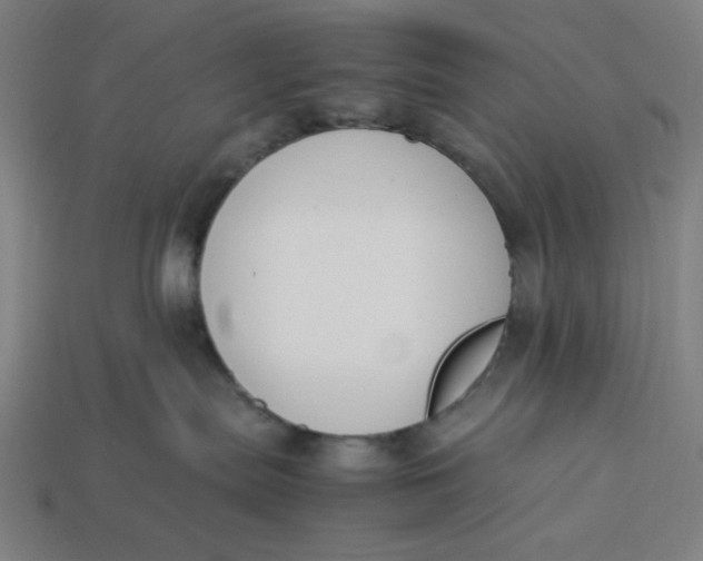 X0000113350287200910061025