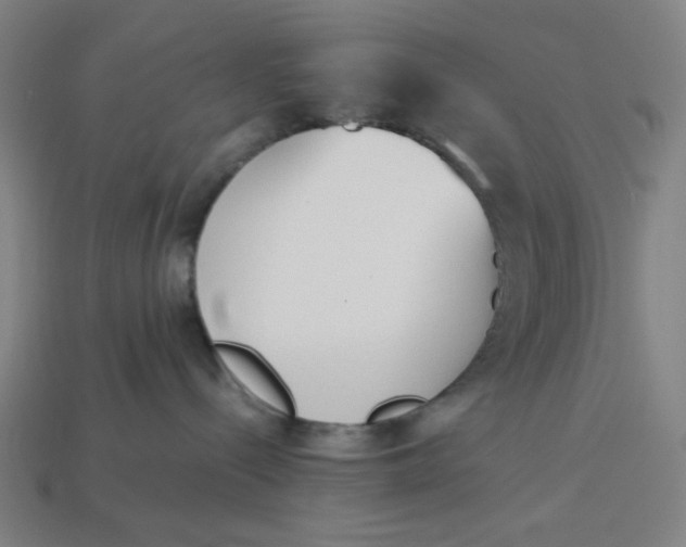 X0000113350288200910061025