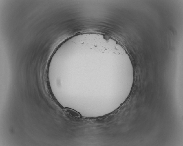 X0000113350289200910061024