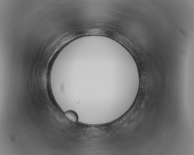 X0000113350290200910061024