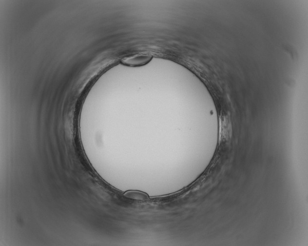 X0000113350291200910061024