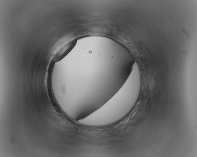 X0000113350292200910061024