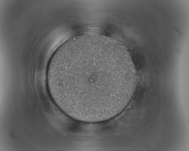 X0000113350293200910061024