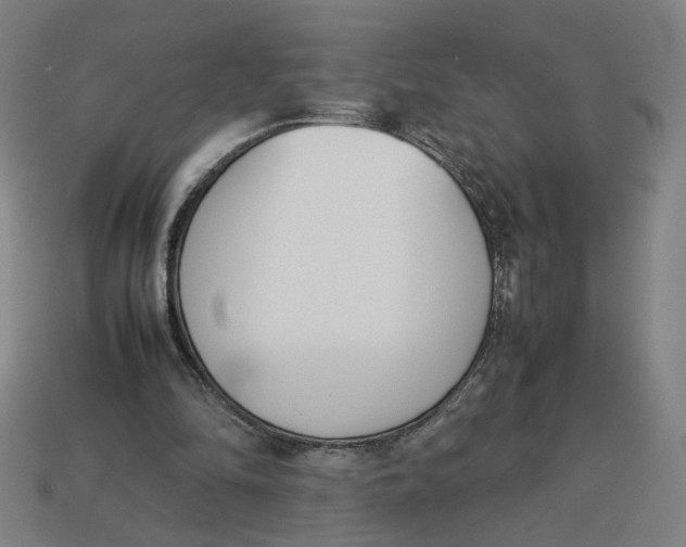 X0000113350294200910061024