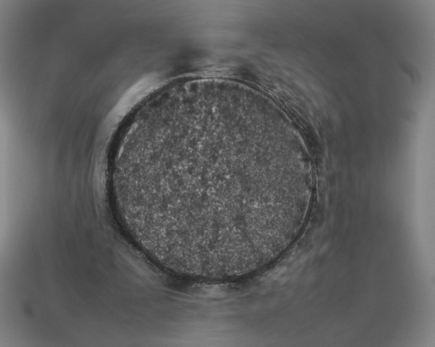 X0000113350295200910061024