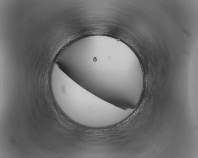 X0000113350297200910061024