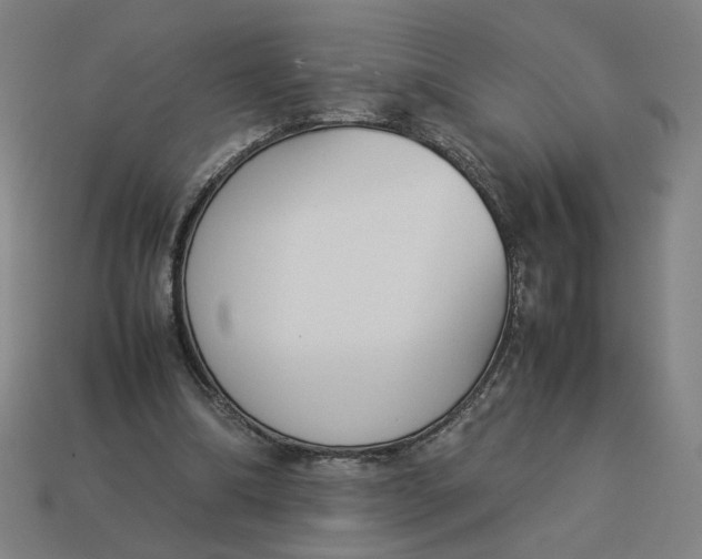 X0000113350298200910061024