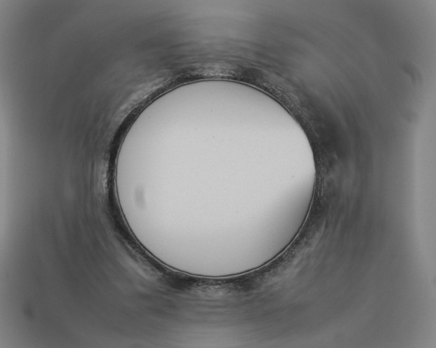 X0000113350299200910061024