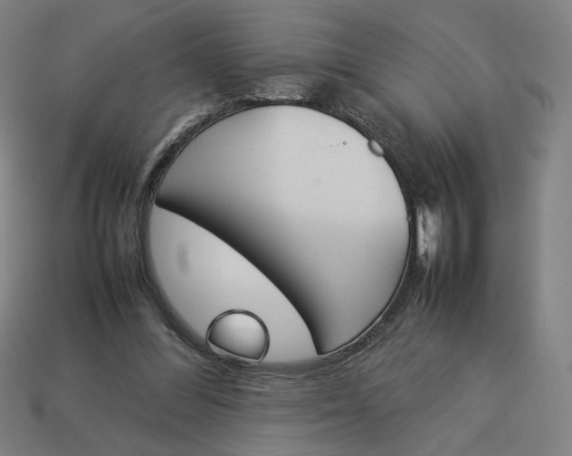 X0000113350300200910061024