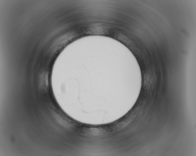 X0000113350302200910061024