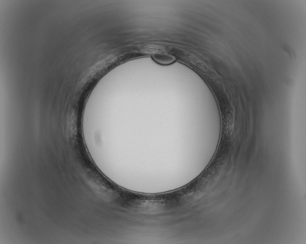 X0000113350303200910061024