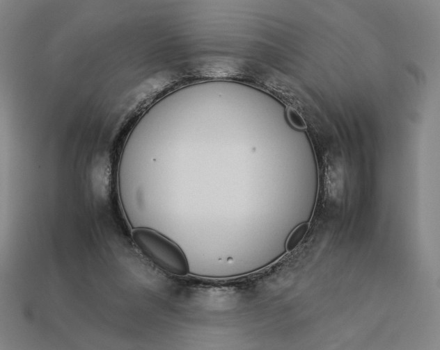 X0000113350304200910061024