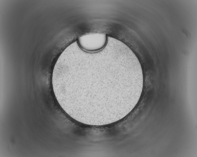 X0000113350305200910061024