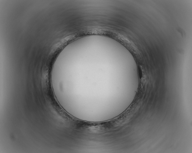 X0000113350306200910061024