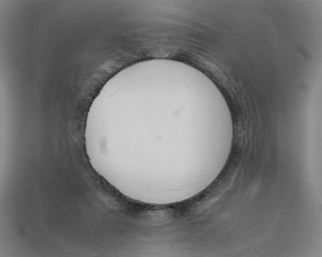 X0000113350307200910061024