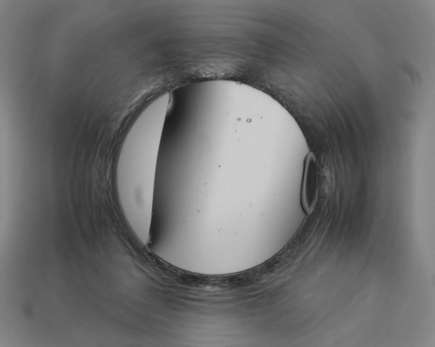 X0000113350308200910061024