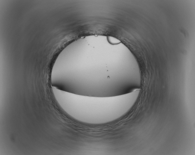 X0000113350309200910061024