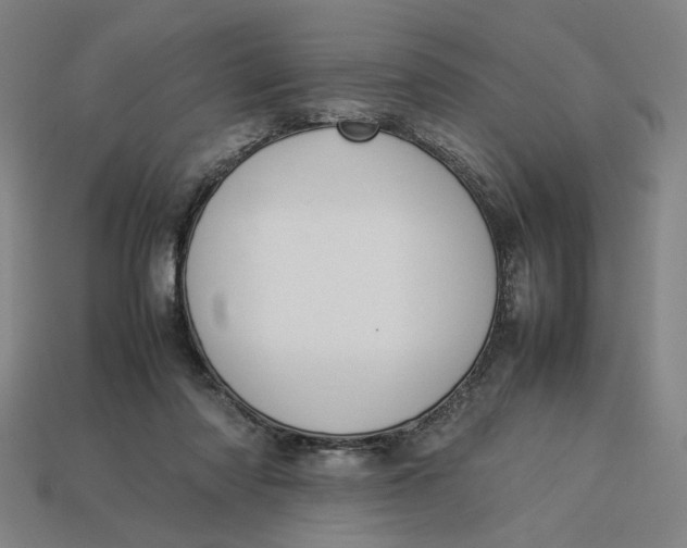 X0000113350310200910061024