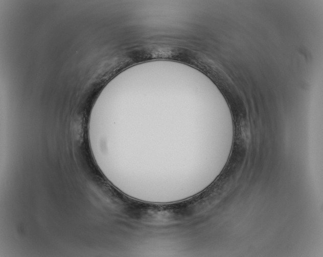 X0000113350311200910061024