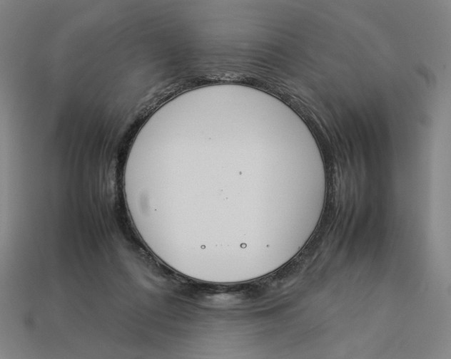 X0000113350312200910061024