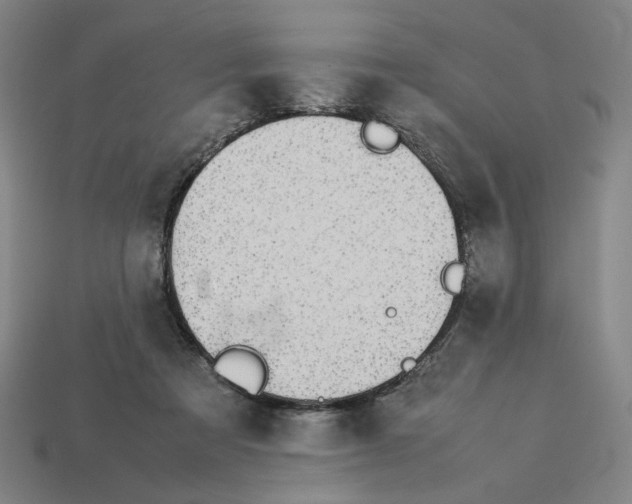 X0000113350313200910061024