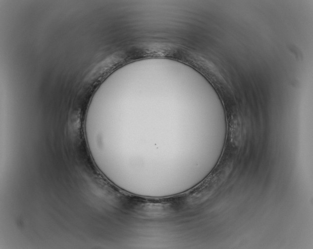 X0000113350314200910061024