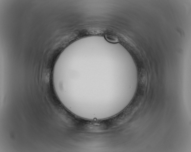 X0000113350315200910061024