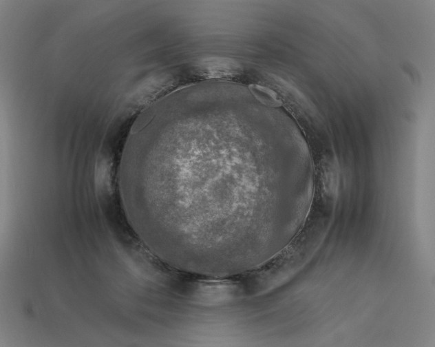 X0000113350316200910061024