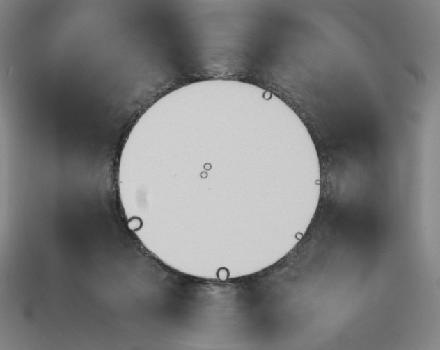 X0000113350317200910061024