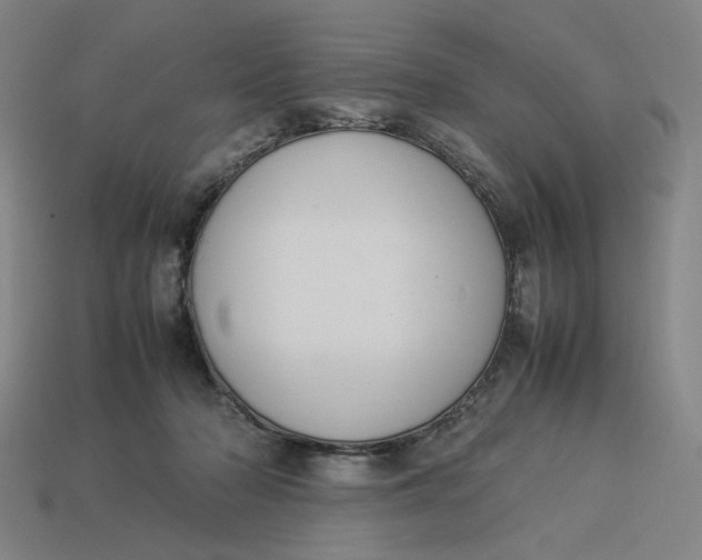 X0000113350318200910061024