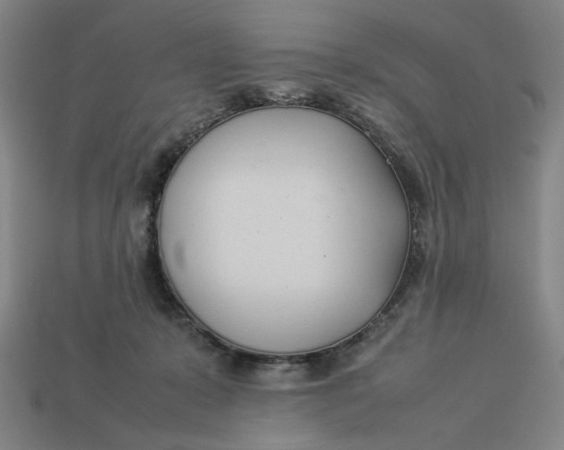 X0000113350319200910061024