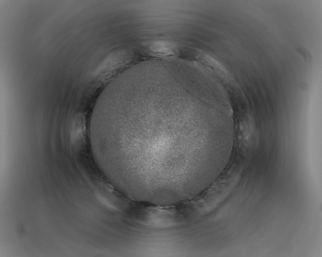 X0000113350320200910061024