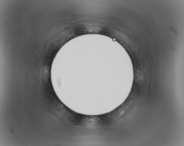 X0000113350321200910061024