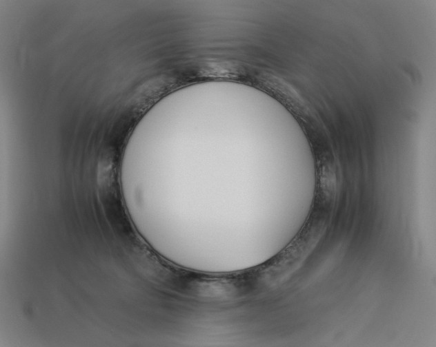 X0000113350322200910061024