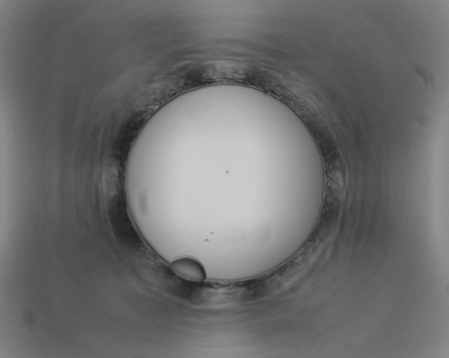 X0000113350323200910061024