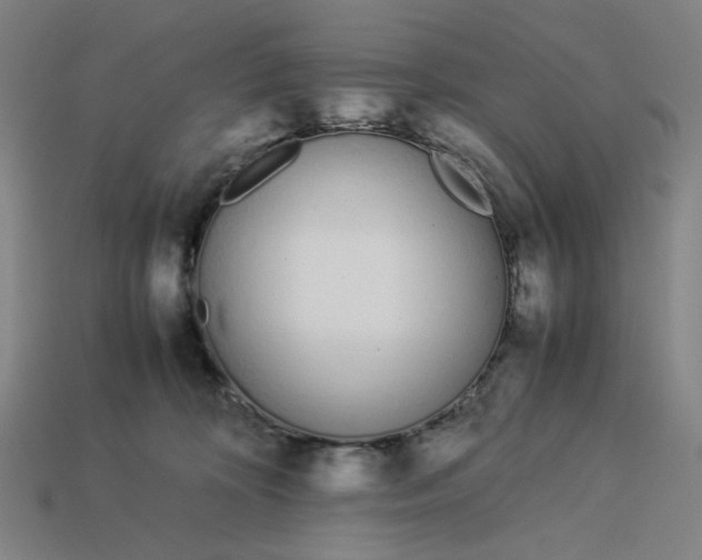 X0000113350324200910061024