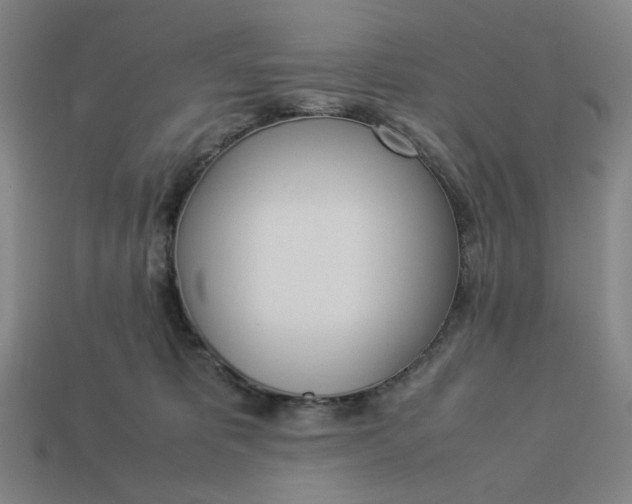 X0000113350325200910061024