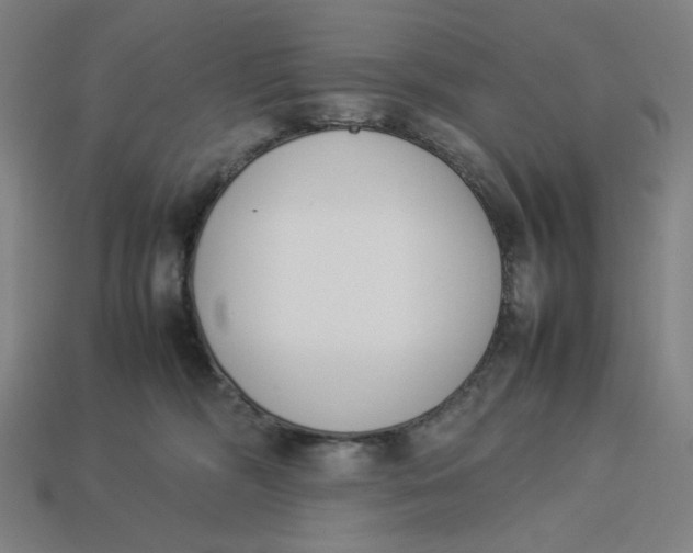 X0000113350326200910061024