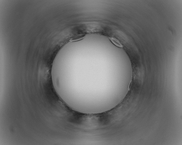 X0000113350327200910061024