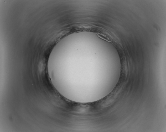 X0000113350328200910061024