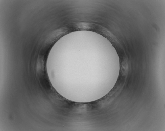 X0000113350330200910061024