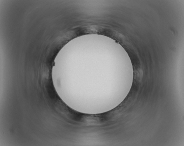 X0000113350331200910061024