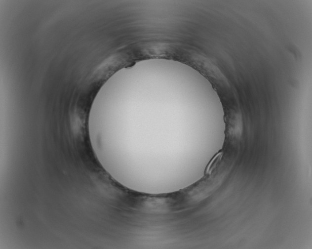 X0000113350332200910061024